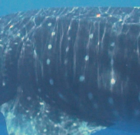 a57444b4-efce-4145-b222-30a1fbfe6858