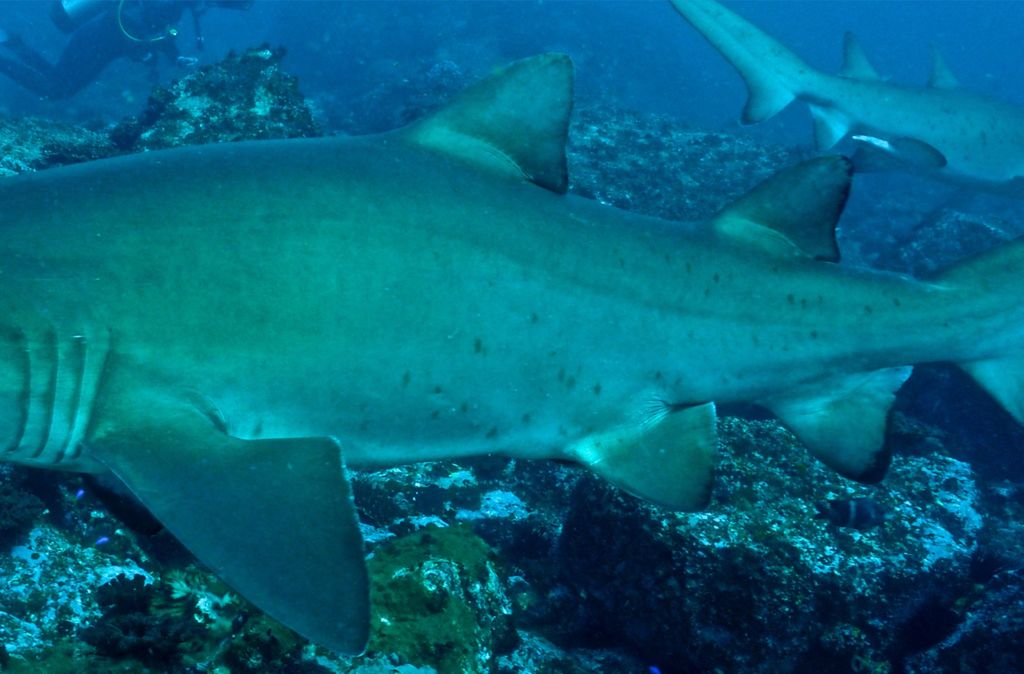 8ab6133b-4a50-4e89-857d-19881c48b5ce