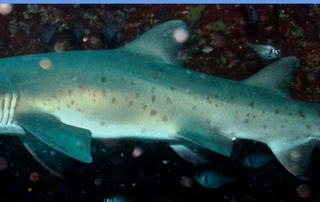 b6819caf-a452-4be9-abfc-216b3d4a4b22