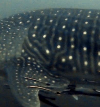 cd2b7d68-2373-4e5f-ba01-65dc6f3671ca