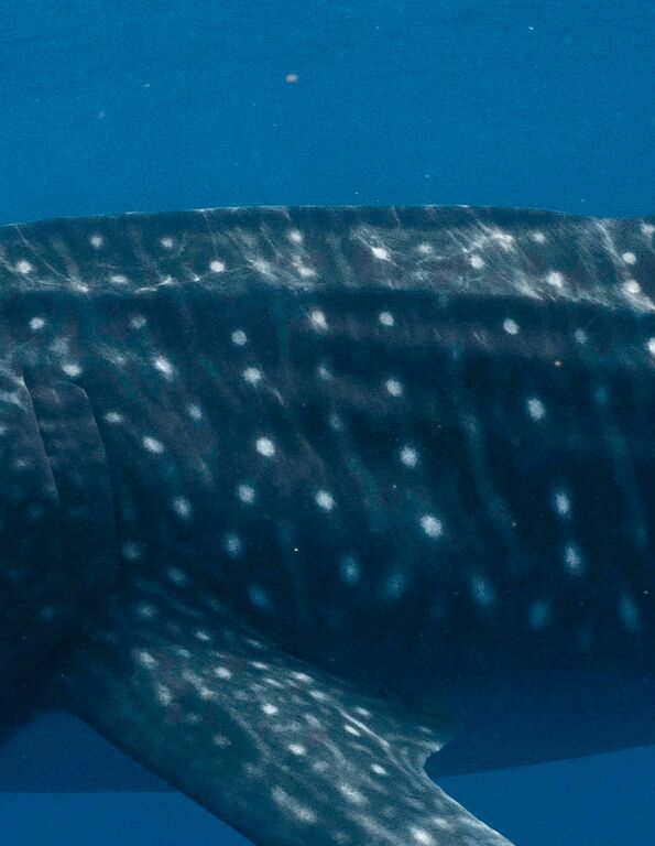 6b802540-0c78-4a54-b861-2f2acdb9eb6a