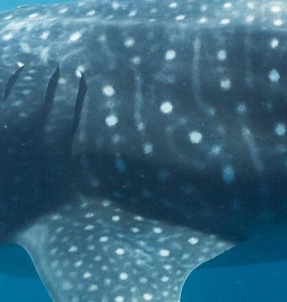 280187d0-b3d4-4e98-b150-04fc6e930ef8