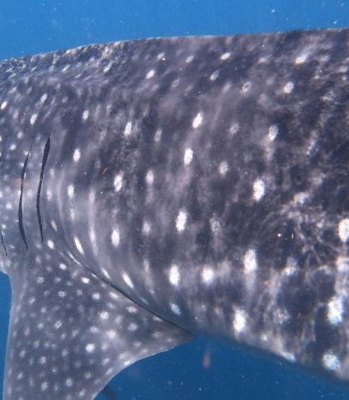 6c4b7ee4-db3a-43f7-b3a1-400254904f23