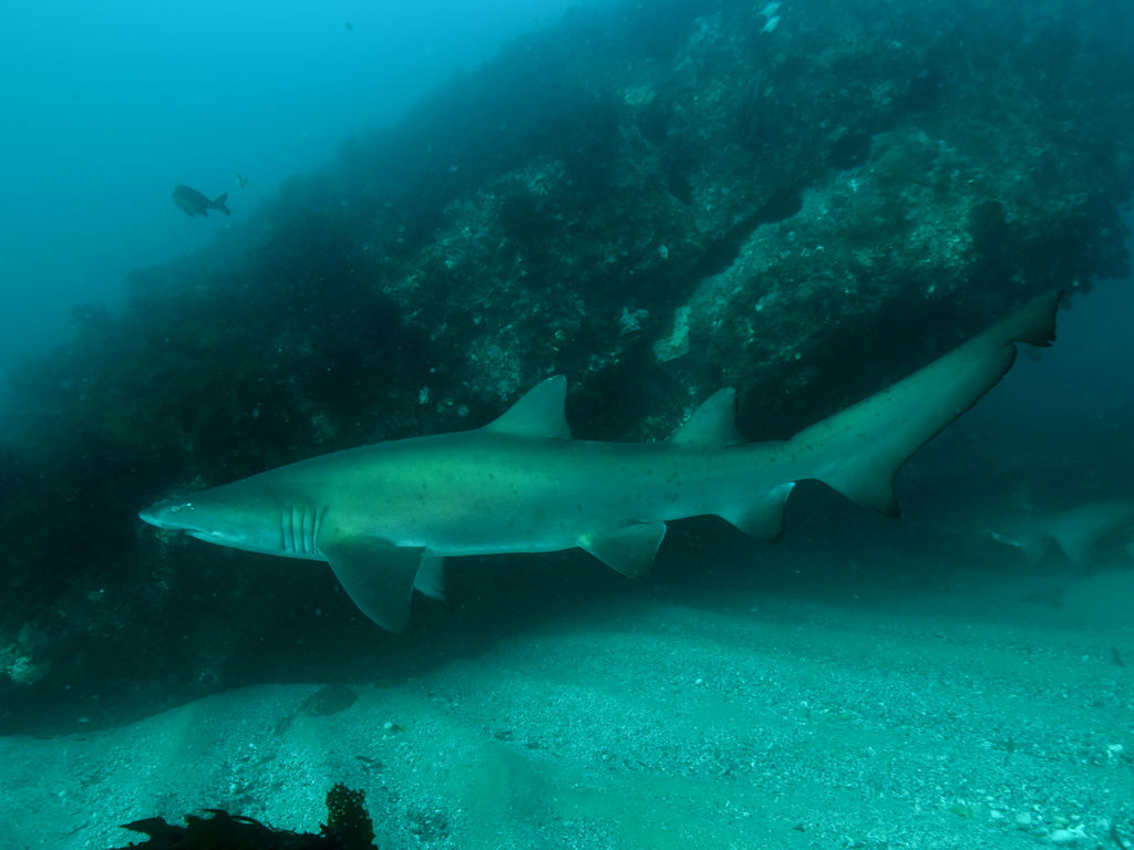 22f702e5-3497-439b-be51-dc75ace5cb42