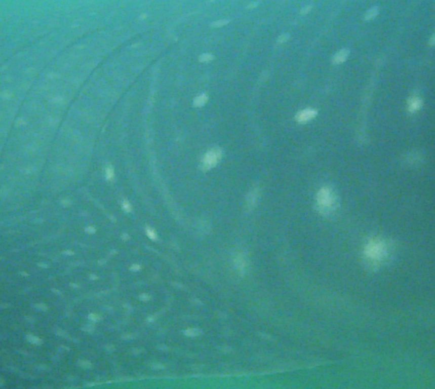 329eca01-a3ce-4b28-b0af-d52e4f94e43f