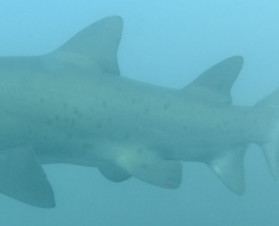 541b5dfc-acf3-428c-9496-f5e48bb8fc8a