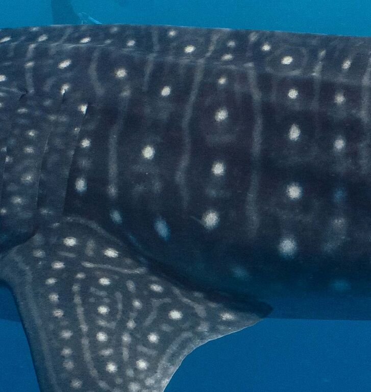 7cc0202f-5981-403e-b6d1-31d5d2f6c6c2