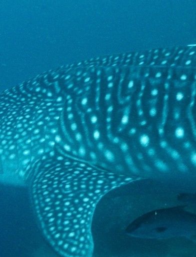 a2c8e4dd-65f5-43d7-8e5d-845d4ded17b5