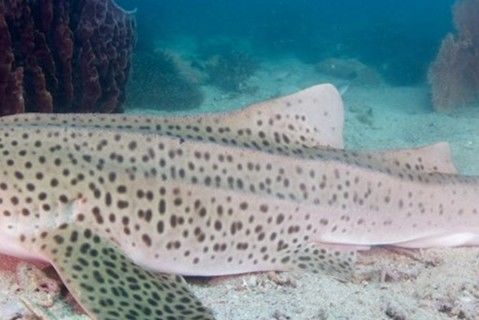 a1e28b4f-7146-4243-9de4-055c6ba98c9b