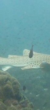 8c645a8e-72c8-42d1-ac40-40e236f92b77