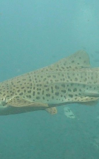 8c645a8e-72c8-42d1-ac40-40e236f92b77