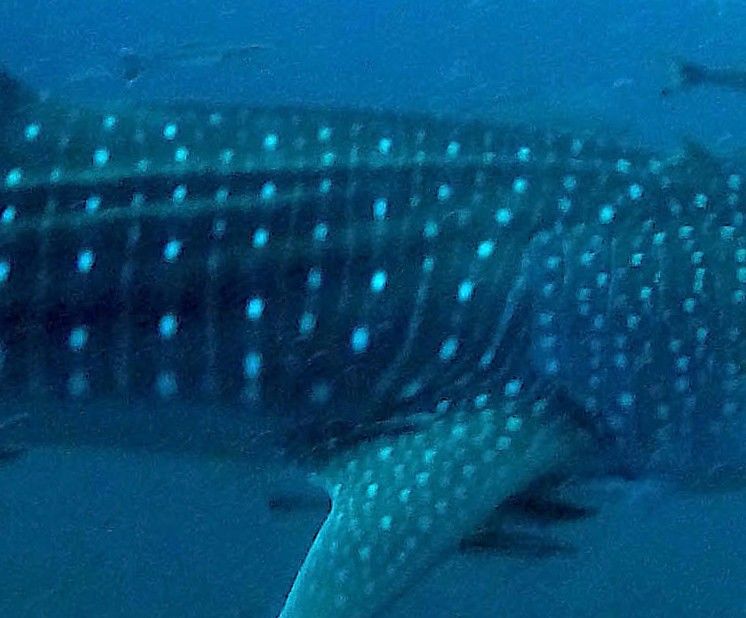 b7ba3bf3-6f0f-4488-8c78-d550d4b75602