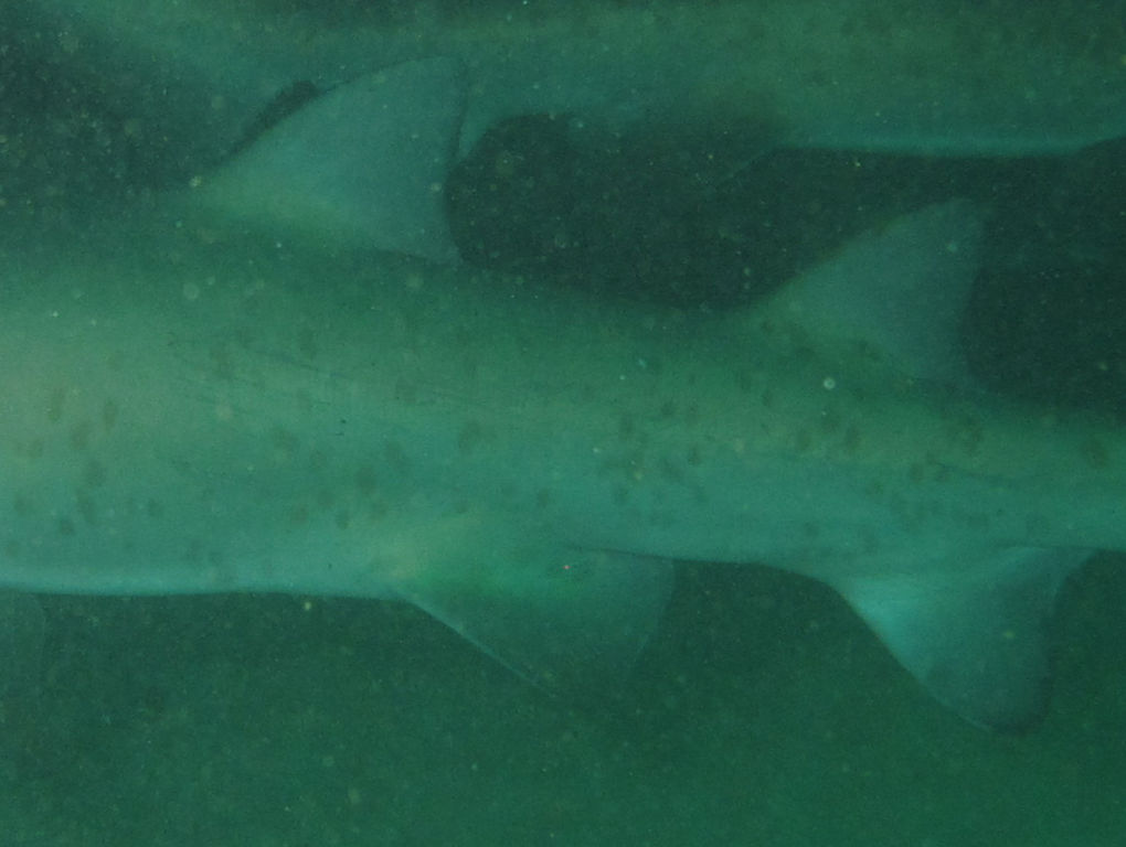 08249fad-c538-464e-ae1b-84a40bf5663f