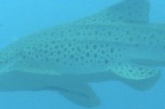 d5244b1b-6912-46a7-a00a-5fa78ccb7639