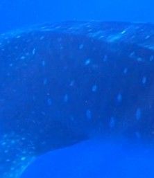 9908f85d-6a45-4359-bcf5-1f87eebfdd30