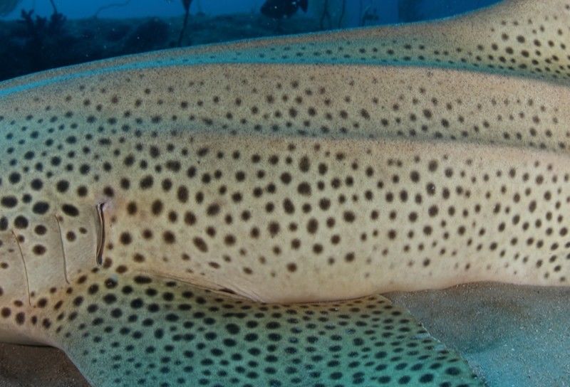 654213e0-e237-4ec9-89c0-8beaf1458046