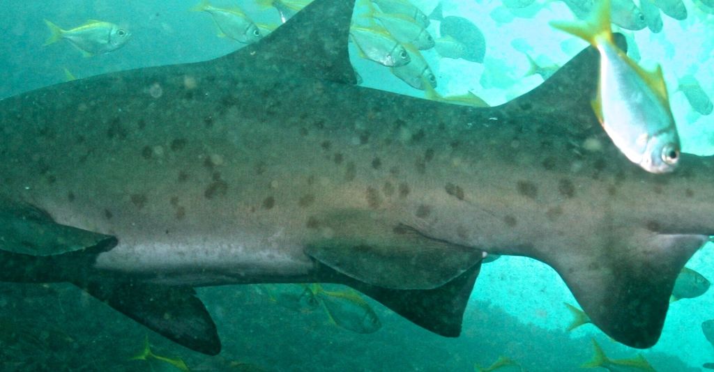 b485c4d8-0380-40b3-9331-f7560da2a353