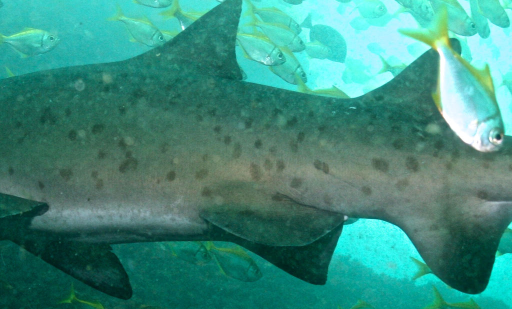 b485c4d8-0380-40b3-9331-f7560da2a353