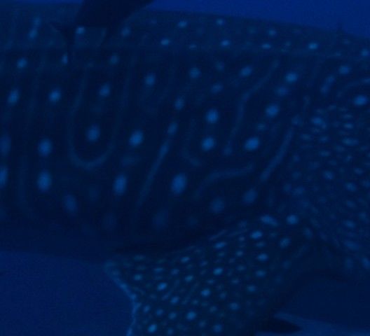 bc4e0d18-e48b-401b-a8b6-0b6281f680ff