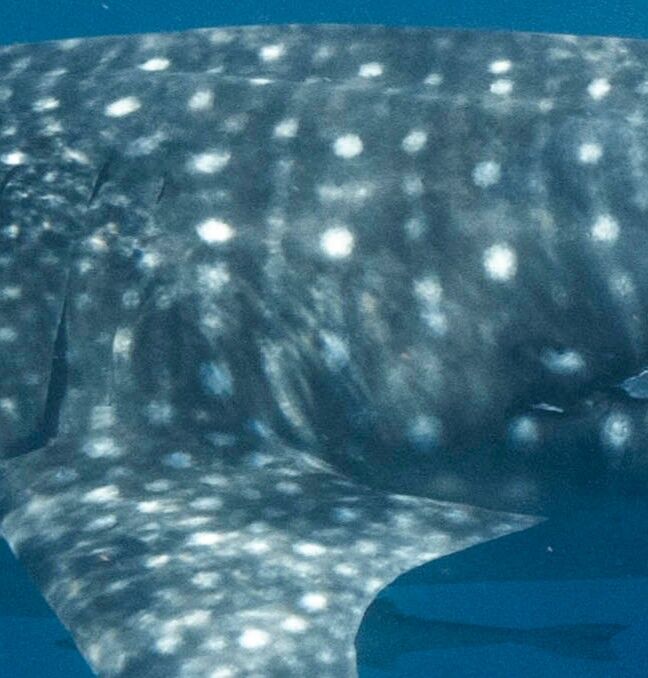 a1f2af09-076f-4611-a370-8663f843d764