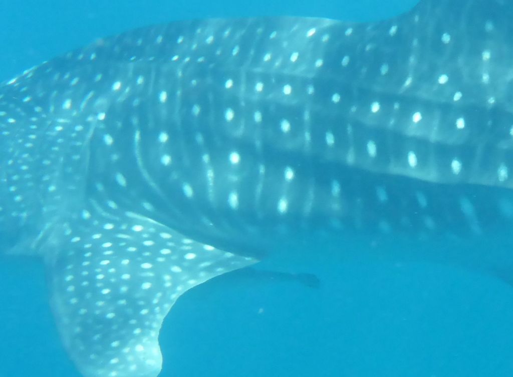 910b20a2-83f3-46d2-adee-4d2b3e121f3d