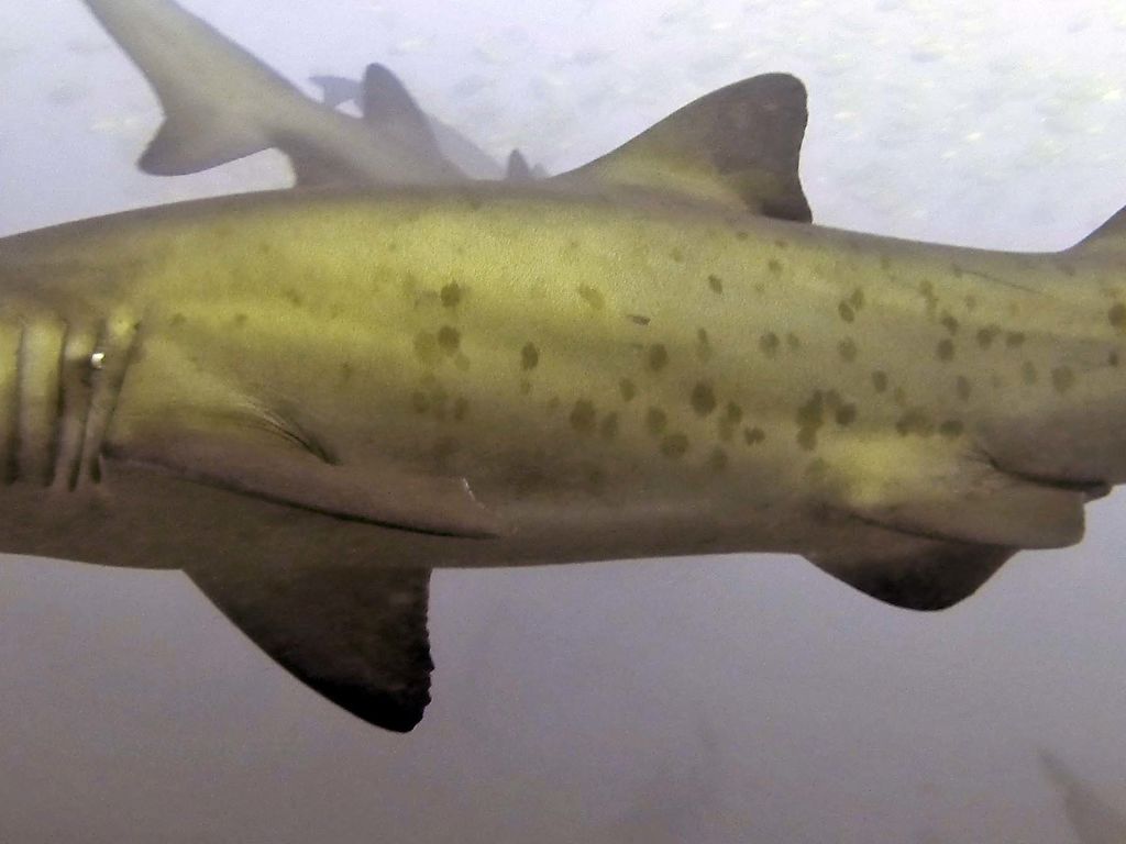 32928760-8a11-40b1-a2cb-04902fa9e9c6