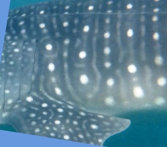 3875d8ae-fae4-408a-a3de-9e55092dec82