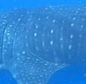 f5ad9d15-1b97-4447-8e52-3c848ee4b967