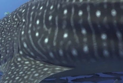 03df6915-7068-45b7-8752-9bcfea084c28