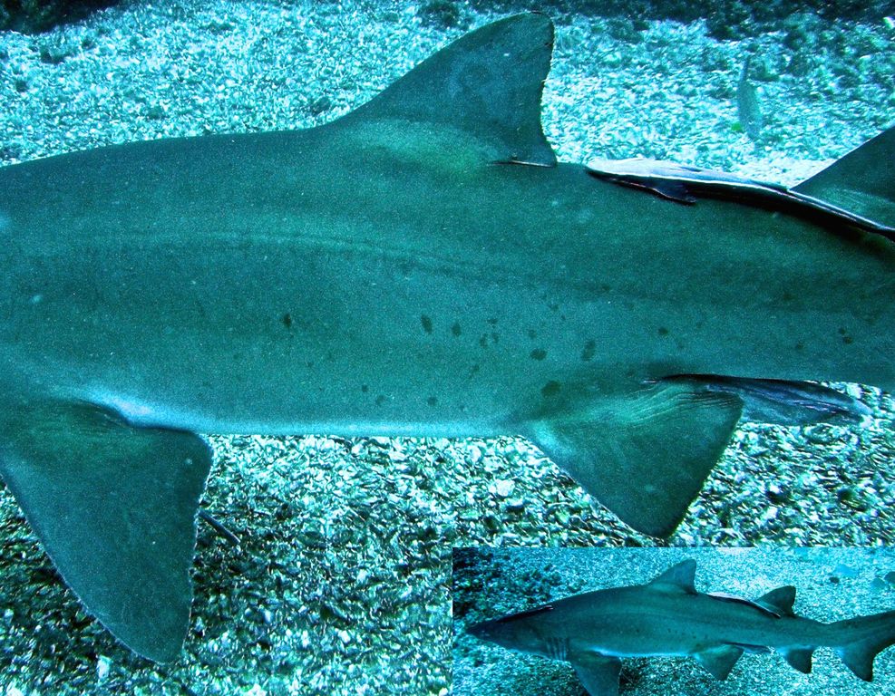 8501fb0d-d94e-48b6-9a7a-3f08e76c30ed