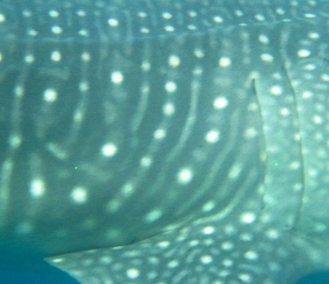 e4d41478-a058-47aa-a900-b3e7bee789fc