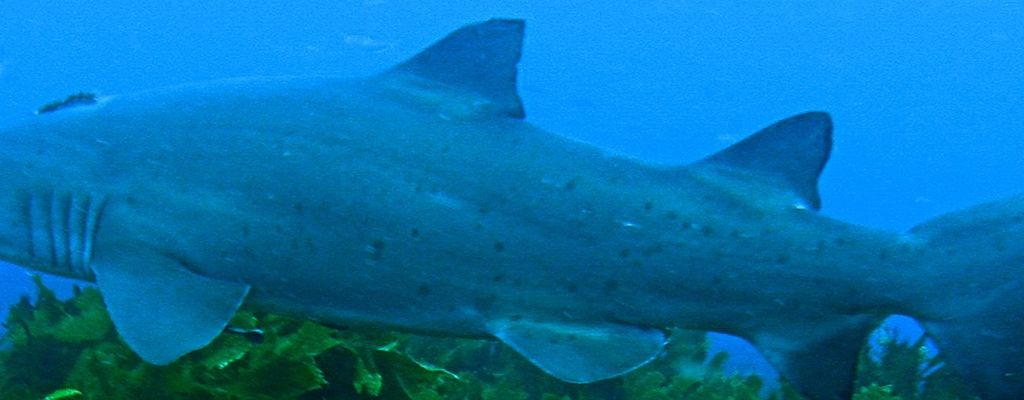 665339dc-4aa6-4b53-8f6c-0b4cbe9bf243