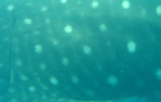 18624435-56b6-4fda-a010-355c756e322b