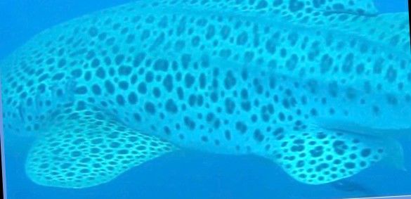 e076dbe0-3db0-4c2a-b772-f52f7f7dcf48