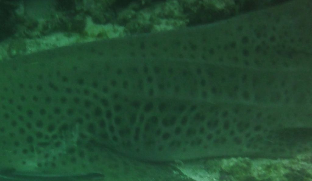 928a144a-269d-42bc-9293-572c1c8cd980