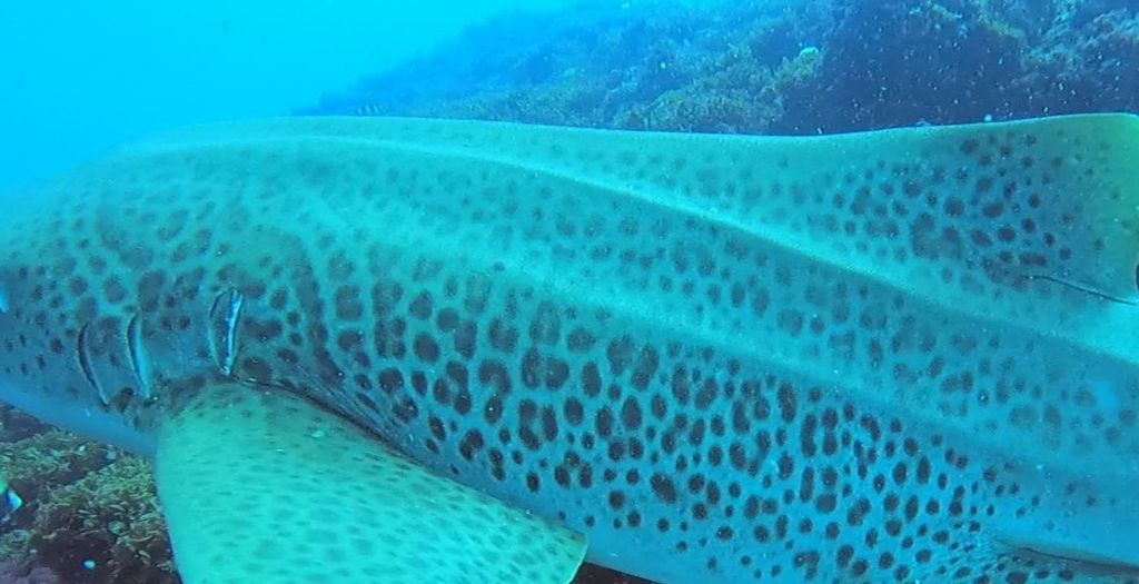 6d5ac39d-6179-4ebf-8fdb-00f763793a2f