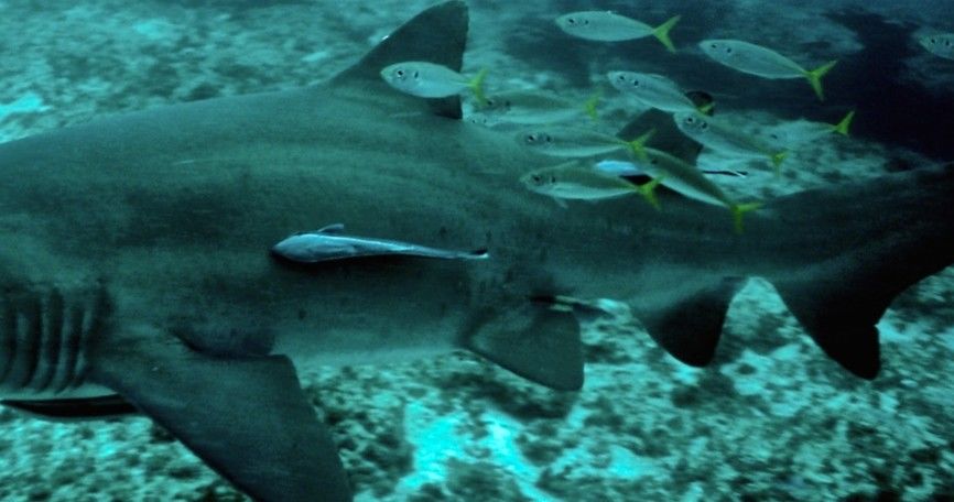 c8ec23d5-2cd5-4cb9-b7ba-9c25ec9f86f6