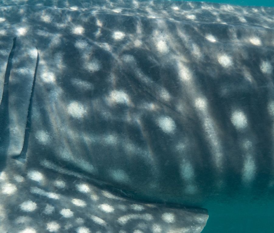 3f22200e-03ff-4870-98f1-df51e2525ce5