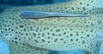 c2ca79fb-1eda-4564-9fc8-e95ecaa9609b