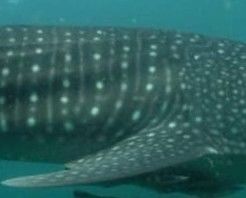 3f2f54df-b666-40c2-a7a8-0bca2e413d8d