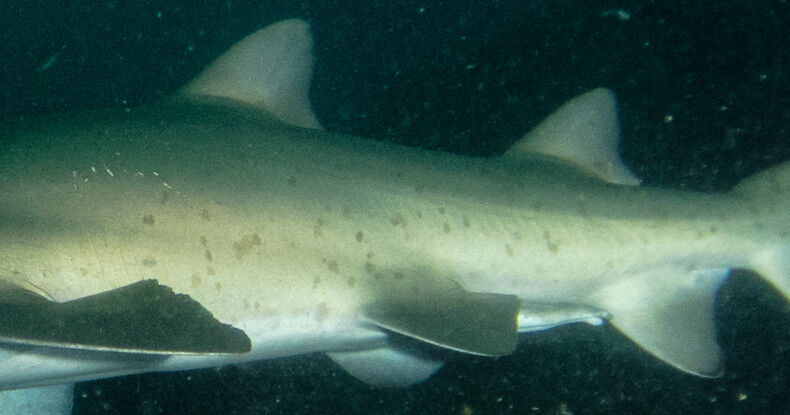 11833177-8499-4dc8-8fb1-b65fa28c4fb4