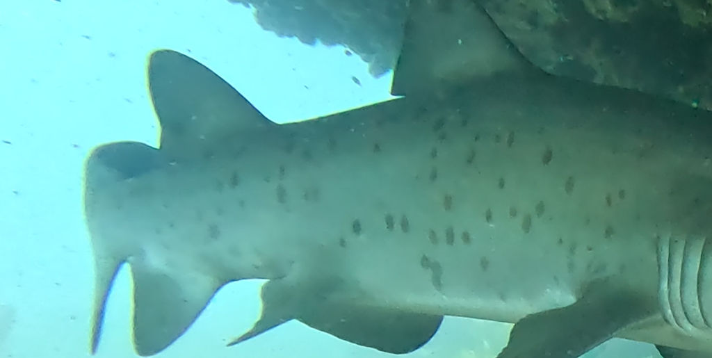 20c00121-df6b-45f5-95ad-09931d565cd6