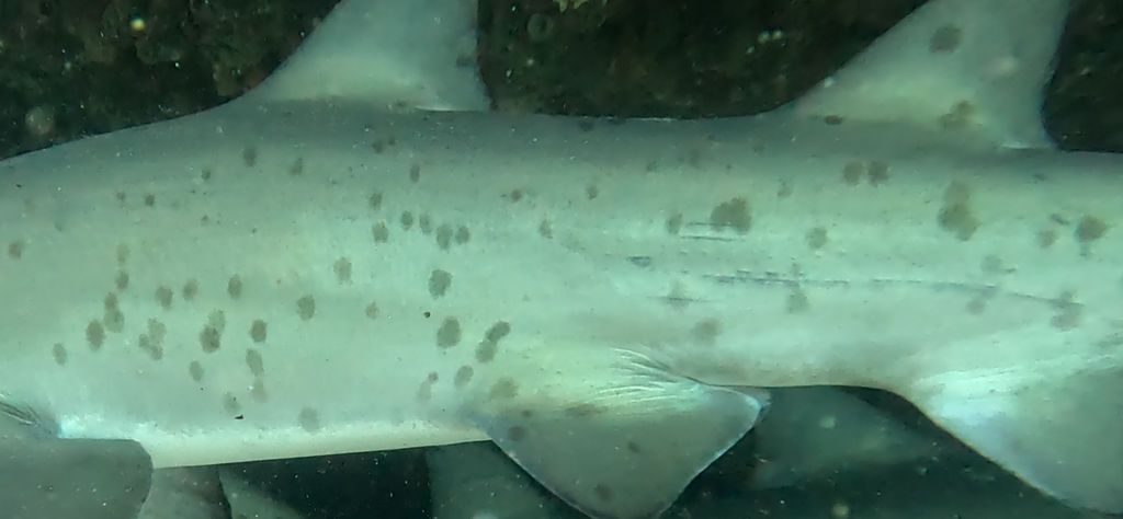 20c00121-df6b-45f5-95ad-09931d565cd6