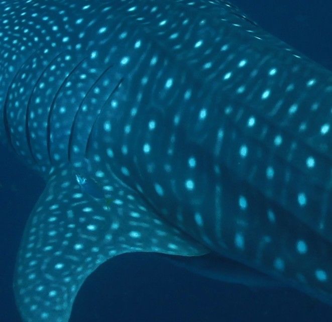 62ed6f5f-0485-4b0e-952a-600a2bb6c803