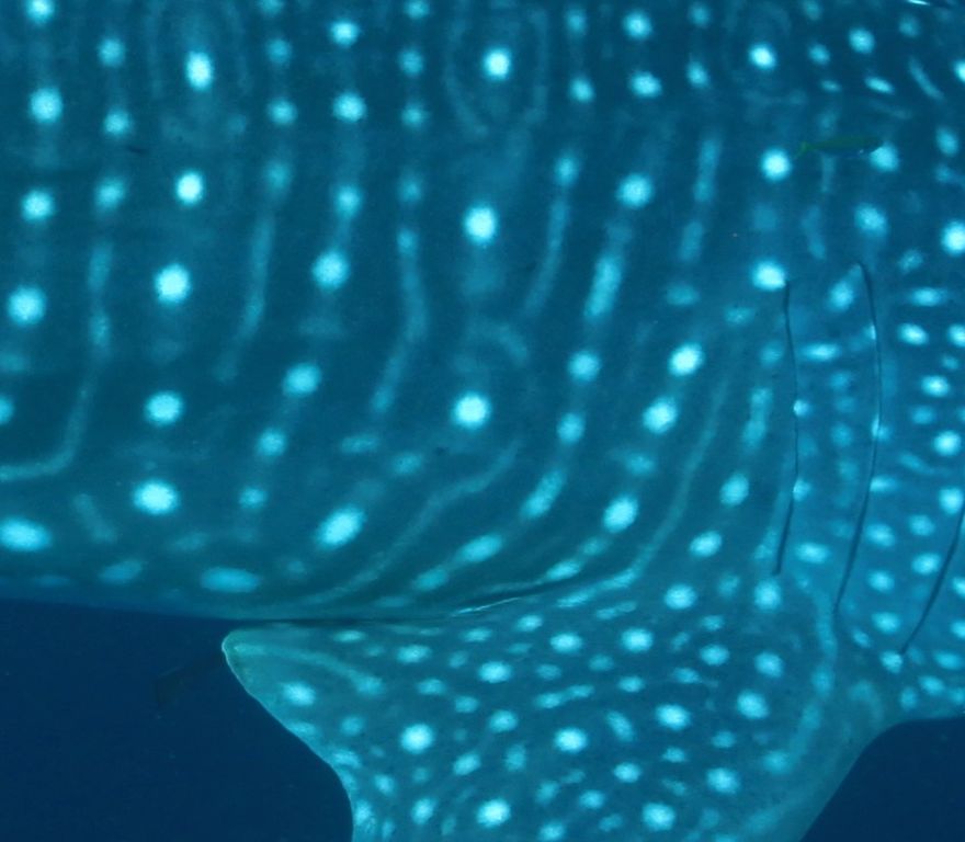 62ed6f5f-0485-4b0e-952a-600a2bb6c803