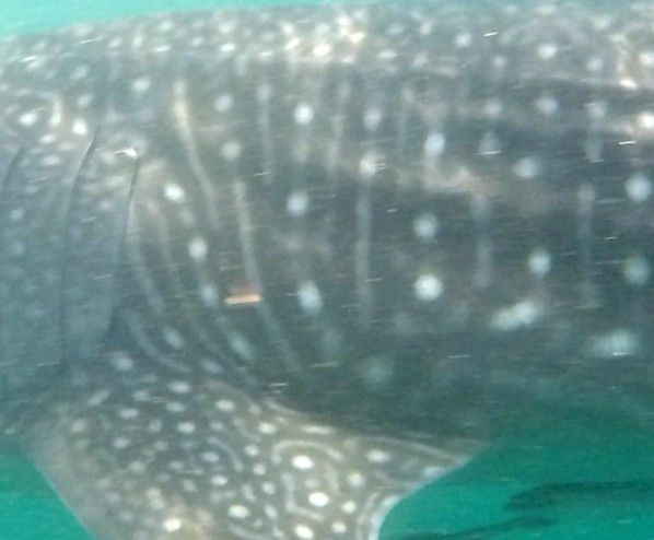 239c8b23-fdd5-414c-93a0-56f7f2194ea7