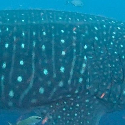 6066ce1a-d38a-4f70-8d6b-7314644be732