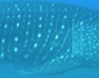 ccf2380d-fc13-46e0-8ebb-5f98d000de2e