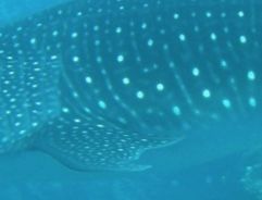 ccf2380d-fc13-46e0-8ebb-5f98d000de2e