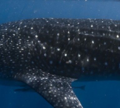 0c87c29d-d47f-4692-bb74-4764f772b4d7